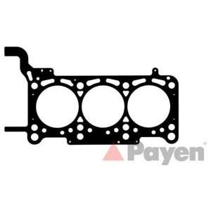 гарнитура, цилиндрова глава PAYEN AG8910