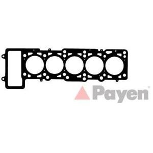 гарнитура, цилиндрова глава PAYEN AG8930