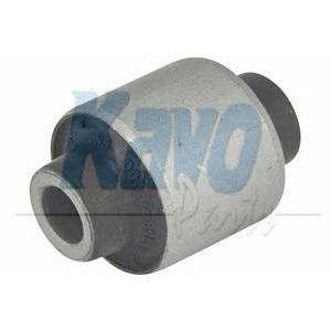 тампон носач KAVO PARTS SCR-3049