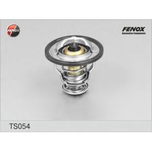 термостат, охладителна течност FENOX TS054