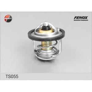 термостат, охладителна течност FENOX TS055