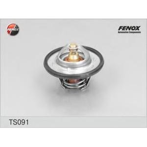 термостат, охладителна течност FENOX TS091 