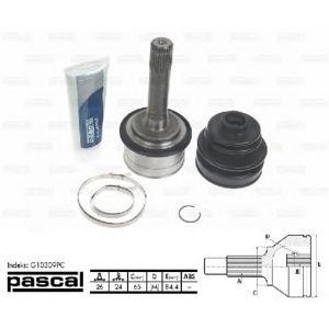 каре комплект, полуоска PASCAL G10309PC 