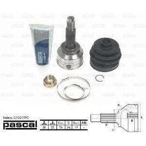 каре комплект, полуоска PASCAL G10319PC 