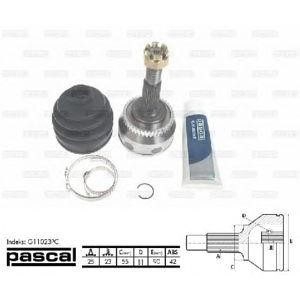 каре комплект, полуоска PASCAL G11023PC 
