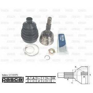 каре комплект, полуоска PASCAL G11035PC 