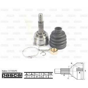 каре комплект, полуоска PASCAL G11036PC 