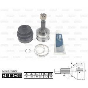 каре комплект, полуоска PASCAL G11038PC 