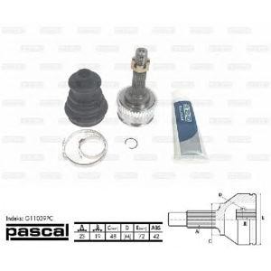 каре комплект, полуоска PASCAL G11039PC 