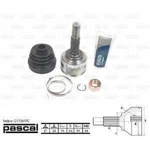 каре комплект, полуоска PASCAL G11061PC 
