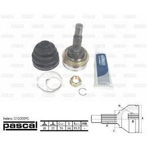 каре комплект, полуоска PASCAL G12005PC 