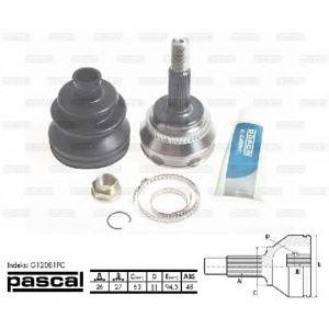 каре комплект, полуоска PASCAL G12081PC 