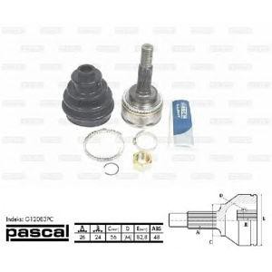 каре комплект, полуоска PASCAL G12083PC 