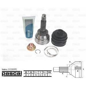 каре комплект, полуоска PASCAL G13009PC 