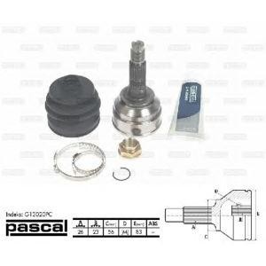 каре комплект, полуоска PASCAL G13020PC 