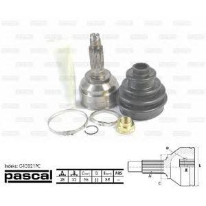 каре комплект, полуоска PASCAL G13021PC 