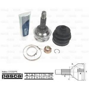 каре комплект, полуоска PASCAL G13029PC 