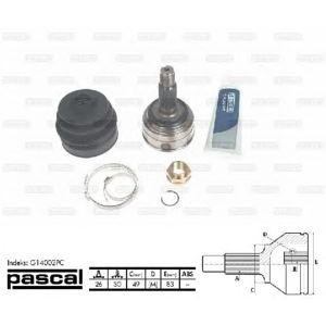 каре комплект, полуоска PASCAL G14002PC 