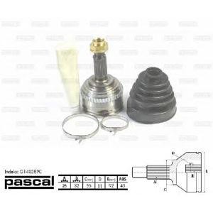 каре комплект, полуоска PASCAL G14038PC 