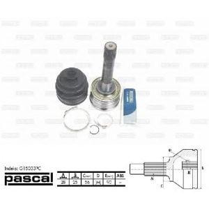 каре комплект, полуоска PASCAL G15033PC 
