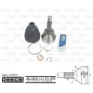 каре комплект, полуоска PASCAL G15055PC 
