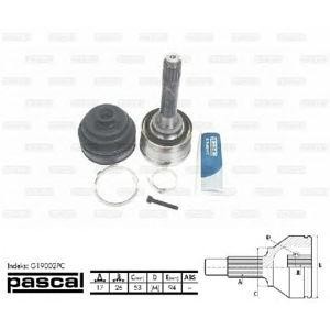 каре комплект, полуоска PASCAL G19002PC 