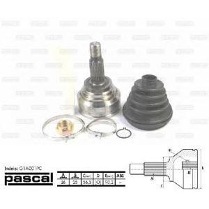 каре комплект, полуоска PASCAL G1A001PC 