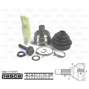 каре комплект, полуоска PASCAL G1A002PC 
