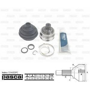 каре комплект, полуоска PASCAL G1A005PC 