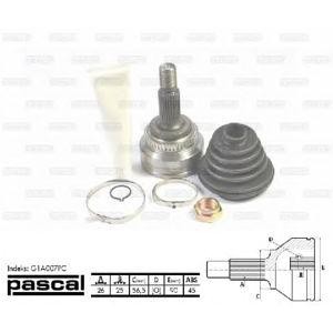каре комплект, полуоска PASCAL G1A007PC 