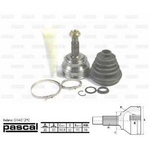 каре комплект, полуоска PASCAL G1A012PC 