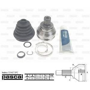 каре комплект, полуоска PASCAL G1A015PC 