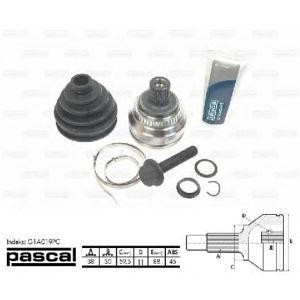 каре комплект, полуоска PASCAL G1A019PC 