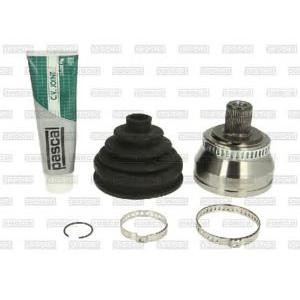 каре комплект, полуоска PASCAL G1A054PC 