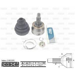 каре комплект, полуоска PASCAL G1B008PC 