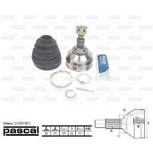 каре комплект, полуоска PASCAL G1C018PC 