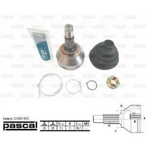 каре комплект, полуоска PASCAL G1D015PC 