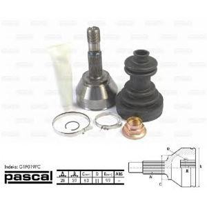 каре комплект, полуоска PASCAL G1F019PC 