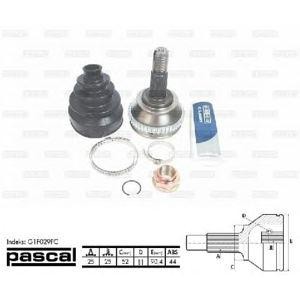 каре комплект, полуоска PASCAL G1F029PC 