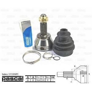 каре комплект, полуоска PASCAL G1G006PC 