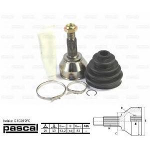 каре комплект, полуоска PASCAL G1G019PC 
