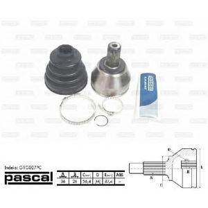 каре комплект, полуоска PASCAL G1G027PC 