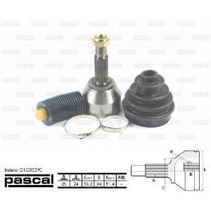 каре комплект, полуоска PASCAL G1G033PC 
