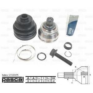 каре комплект, полуоска PASCAL G1G036PC 