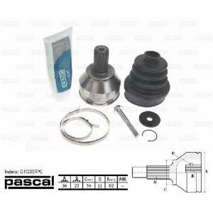 каре комплект, полуоска PASCAL G1G039PC 
