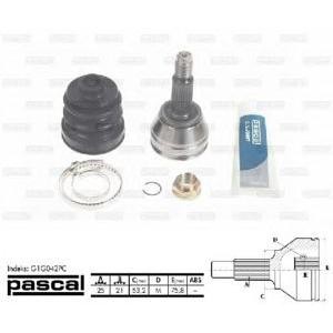 каре комплект, полуоска PASCAL G1G042PC 