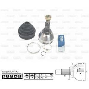 каре комплект, полуоска PASCAL G1G043PC 