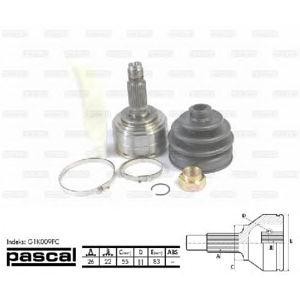 каре комплект, полуоска PASCAL G1K009PC 