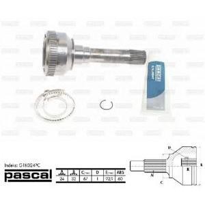 каре комплект, полуоска PASCAL G1K024PC 