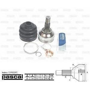 каре комплект, полуоска PASCAL G1P005PC 